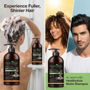HealthyAsia Black Label BIOTIN Hair Growth Shampoo - Advanced Formula by HealthyAsia