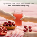 Electrolyte Recovery Plus Powder (Sugar-Free) by Key Nutrients