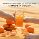 Electrolyte Recovery Plus Powder (Sugar-Free) by Key Nutrients