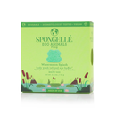 Frog | Eco Animals Kids Buffer by Spongellé