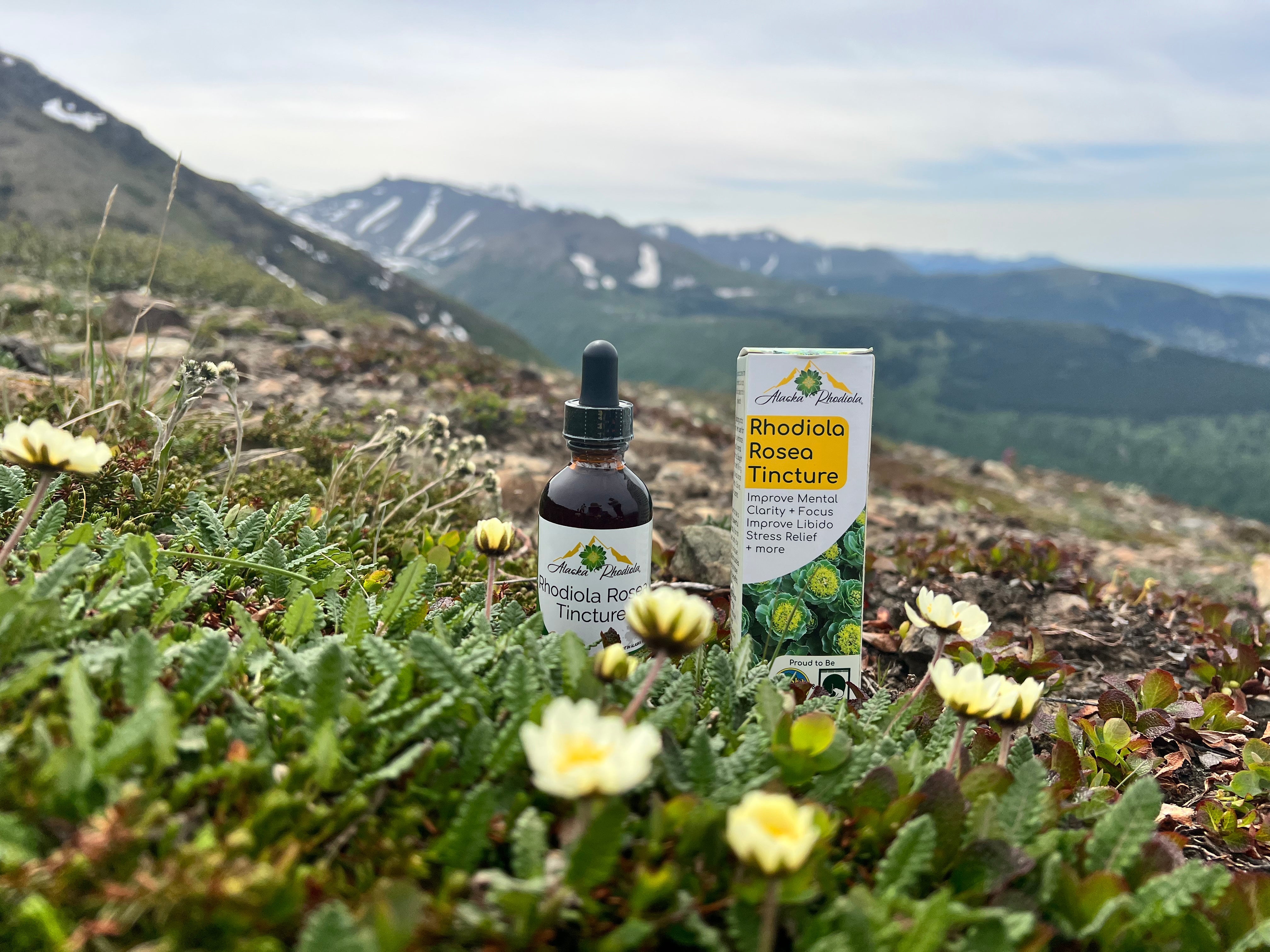Rhodiola Rosea Tincture – Natural Stress & Energy Support (2 oz) by Alaska Rhodiola
