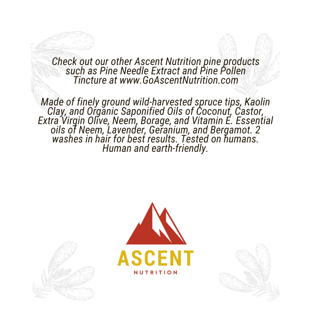 Wild-Harvested Spruce Soap, 6 oz Bar by Ascent Nutrition
