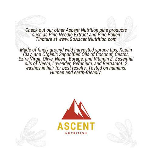 Wild-Harvested Spruce Soap, 6 oz Bar by Ascent Nutrition