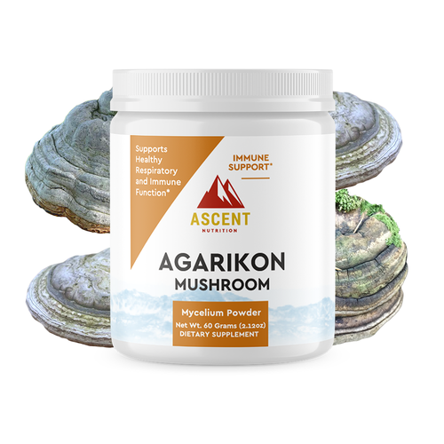 Organic Agarikon Mushroom Powder, 2 grams per scoop by Ascent Nutrition