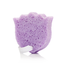 Provence Violette | Les Fleurs Body Buffer by Spongellé