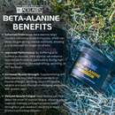 BETA-ALANINE by BLACKLABEL Supplements