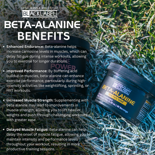 BETA-ALANINE by BLACKLABEL Supplements