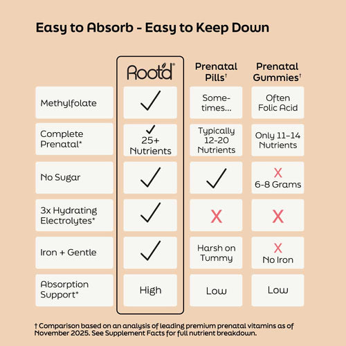 Essential Prenatal Nutrition + Electrolytes by Root'd