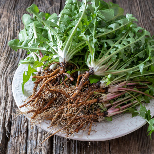 Dandelion Greens & Roots Elixir by Try-Blue