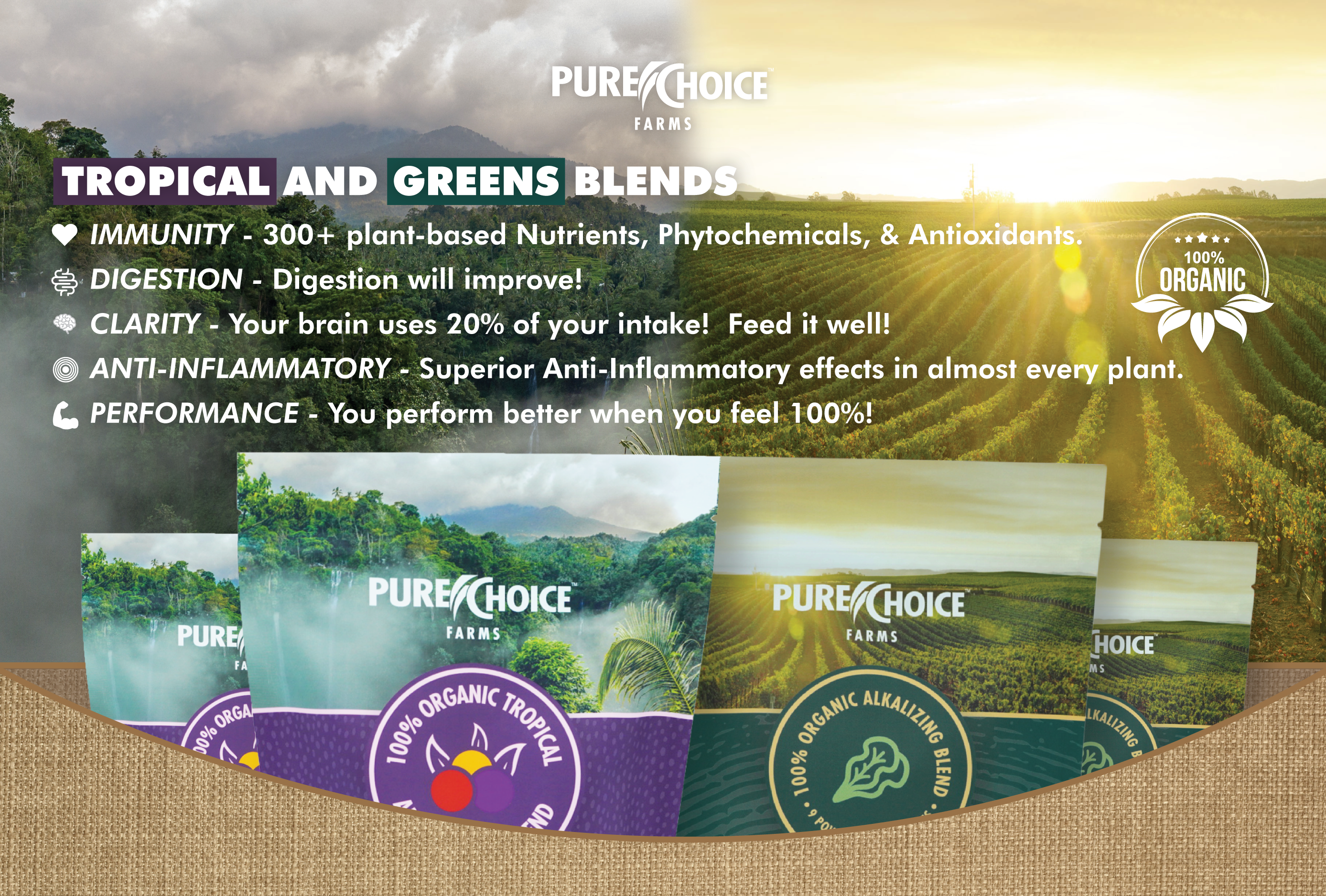 Organic Tropical Antioxidant Fruit Blend by Pure Choice Farms