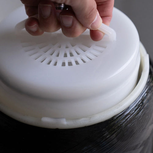 ECHO Whole Home Water Filter by Echo Water