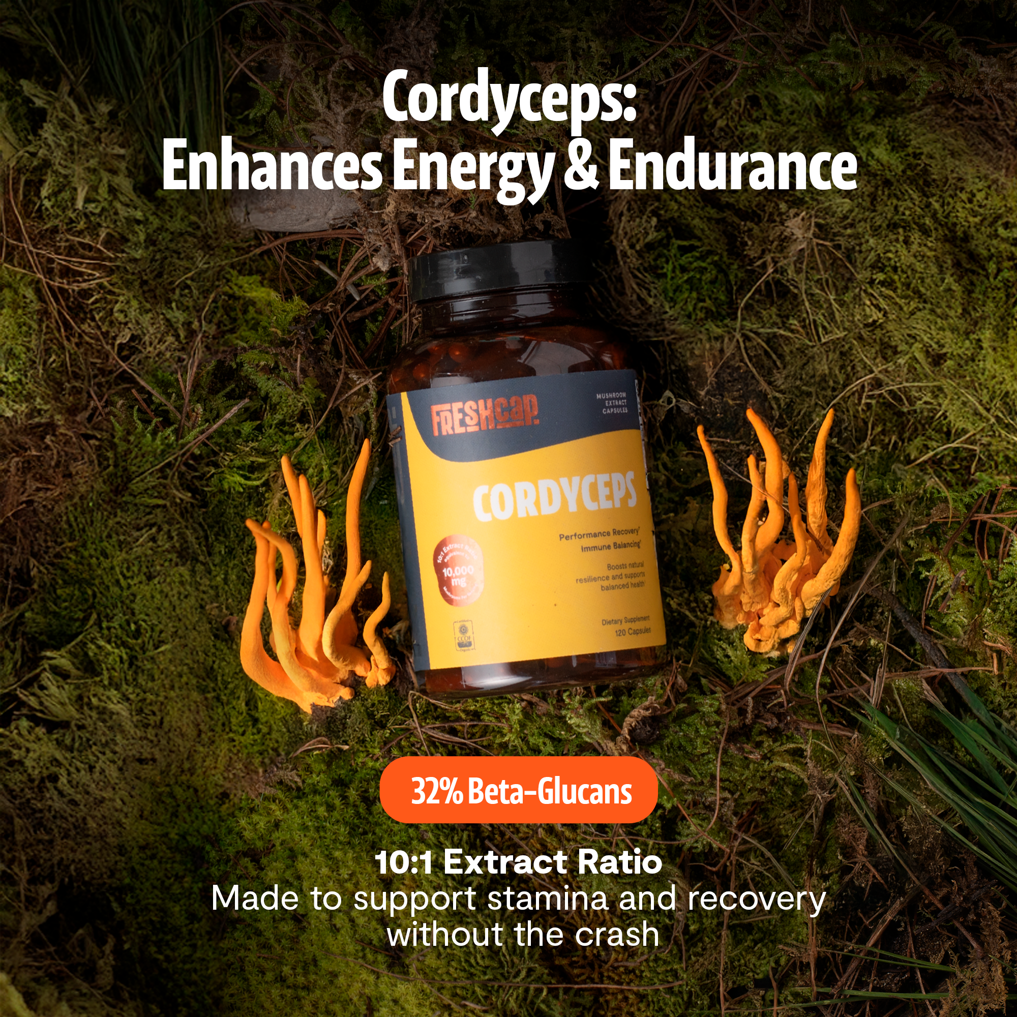 Cordyceps Mushroom Extract Capsules by FreshCap Mushrooms