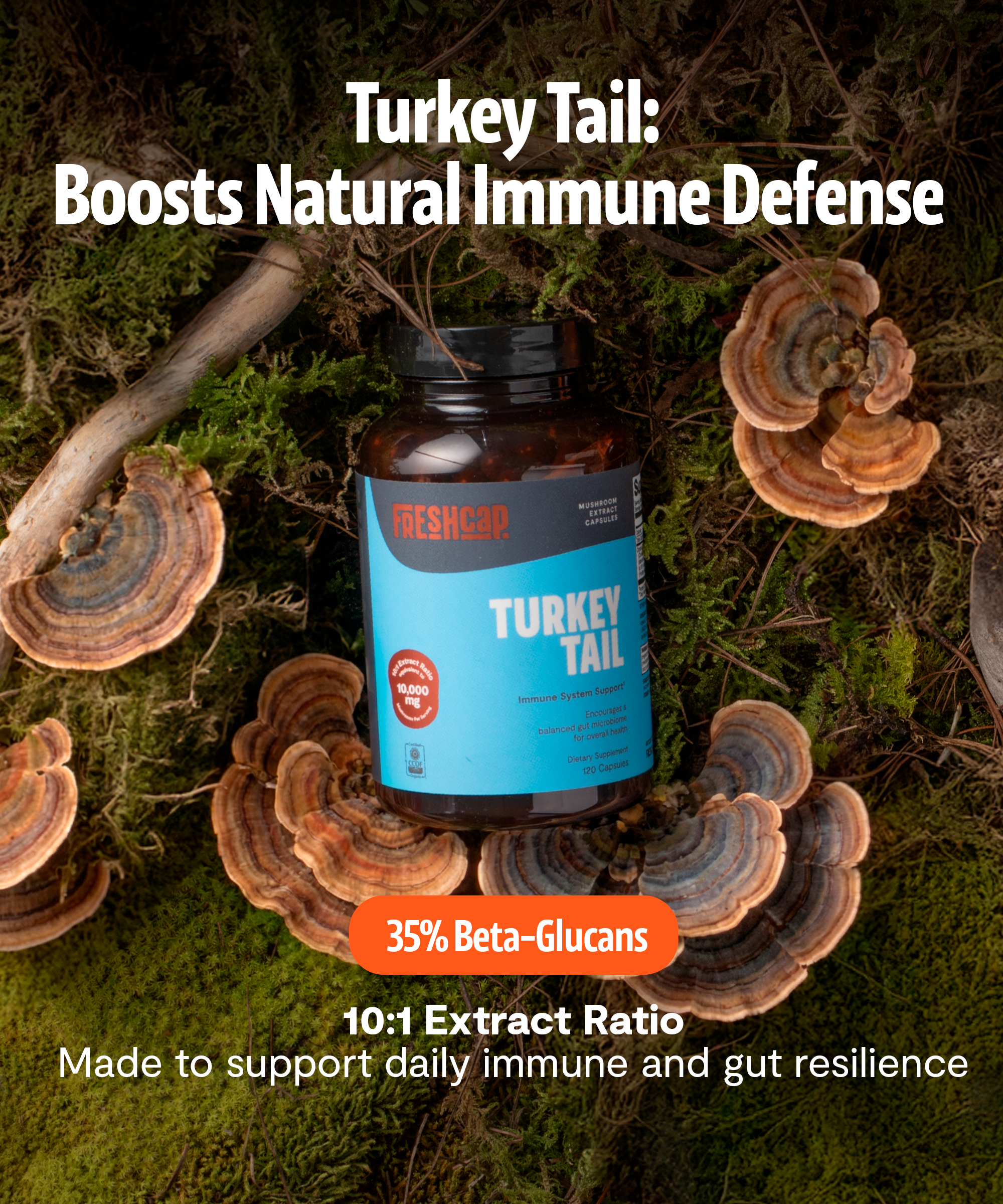 Turkey Tail Mushroom Extract Capsules by FreshCap Mushrooms