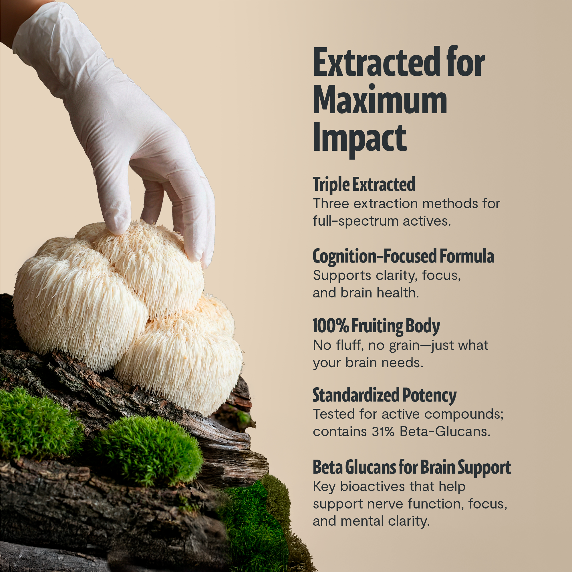 Lion's Mane Mushroom Extract Capsules by FreshCap Mushrooms