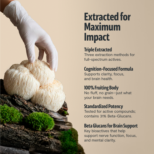Lion's Mane Mushroom Extract Capsules by FreshCap Mushrooms