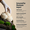 Lion's Mane Mushroom Extract Powder by FreshCap Mushrooms