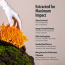 Cordyceps Mushroom Extract Capsules by FreshCap Mushrooms