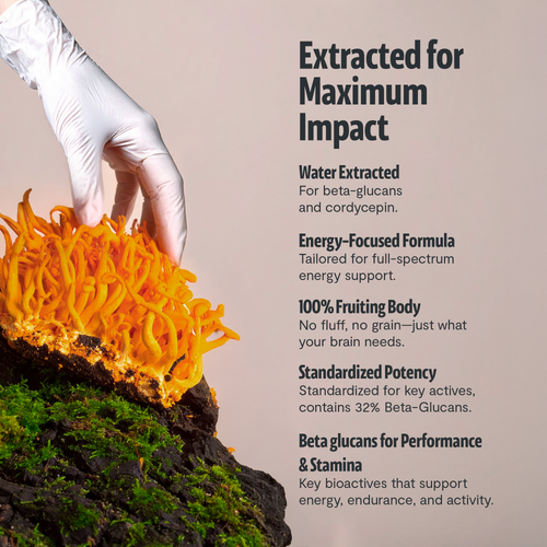 Cordyceps Mushroom Extract Capsules by FreshCap Mushrooms