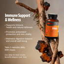 Chaga Mushroom Extract Capsules by FreshCap Mushrooms