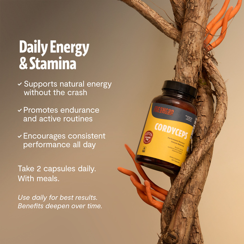 Cordyceps Mushroom Extract Capsules by FreshCap Mushrooms