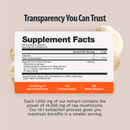 Lion's Mane Mushroom Extract Capsules by FreshCap Mushrooms