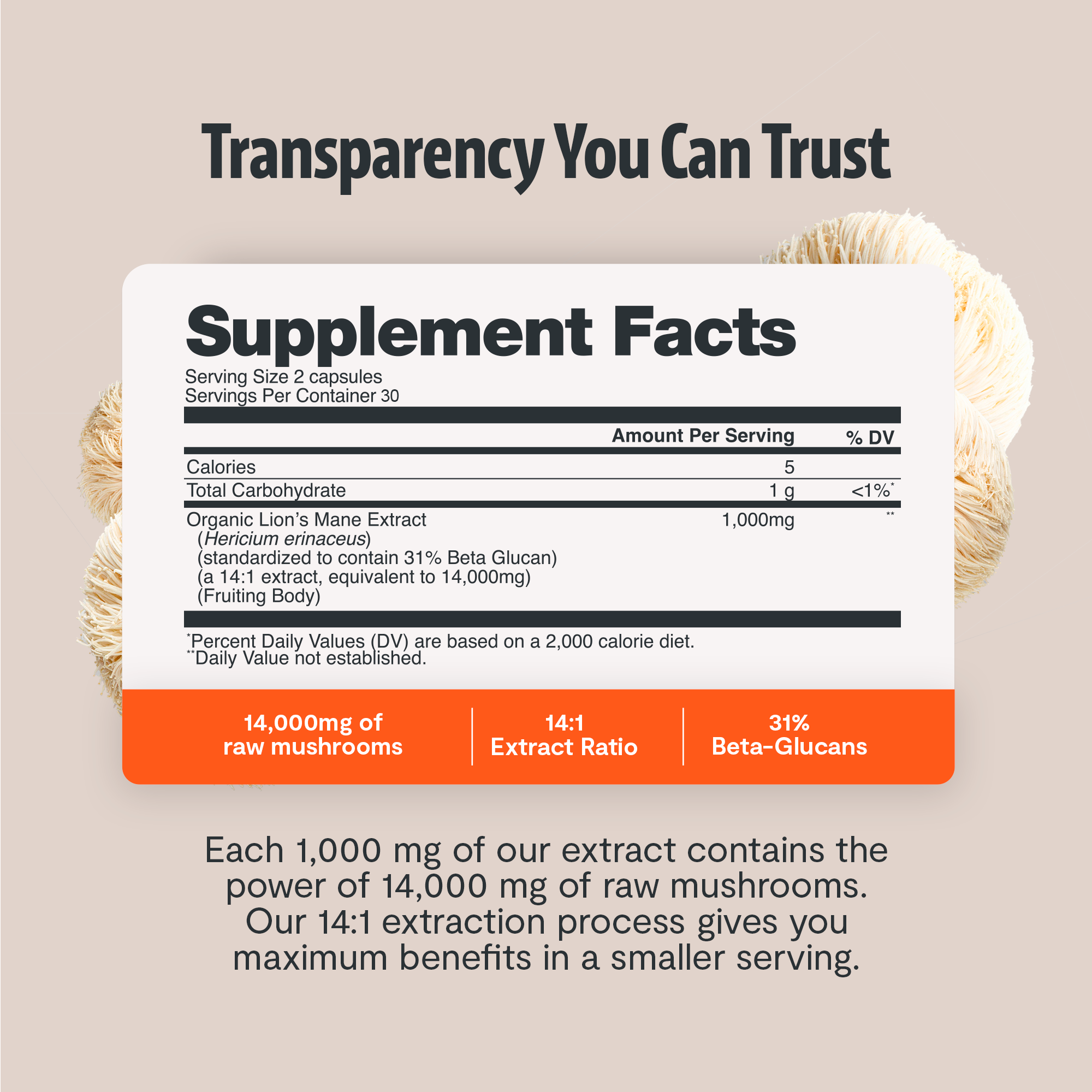 Lion's Mane Mushroom Extract Capsules by FreshCap Mushrooms