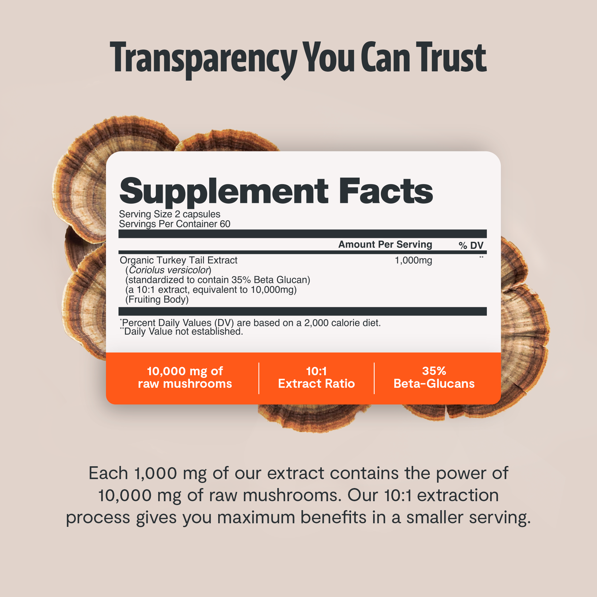 Turkey Tail Mushroom Extract Capsules by FreshCap Mushrooms