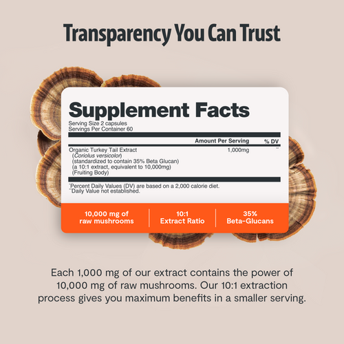 Turkey Tail Mushroom Extract Capsules by FreshCap Mushrooms