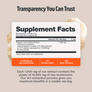 Lion's Mane Mushroom Extract Powder by FreshCap Mushrooms