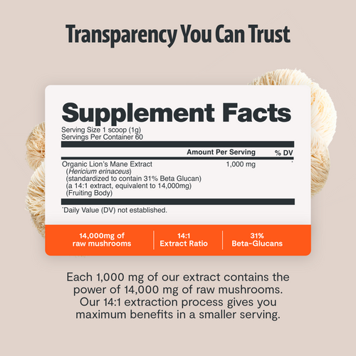 Lion's Mane Mushroom Extract Powder by FreshCap Mushrooms