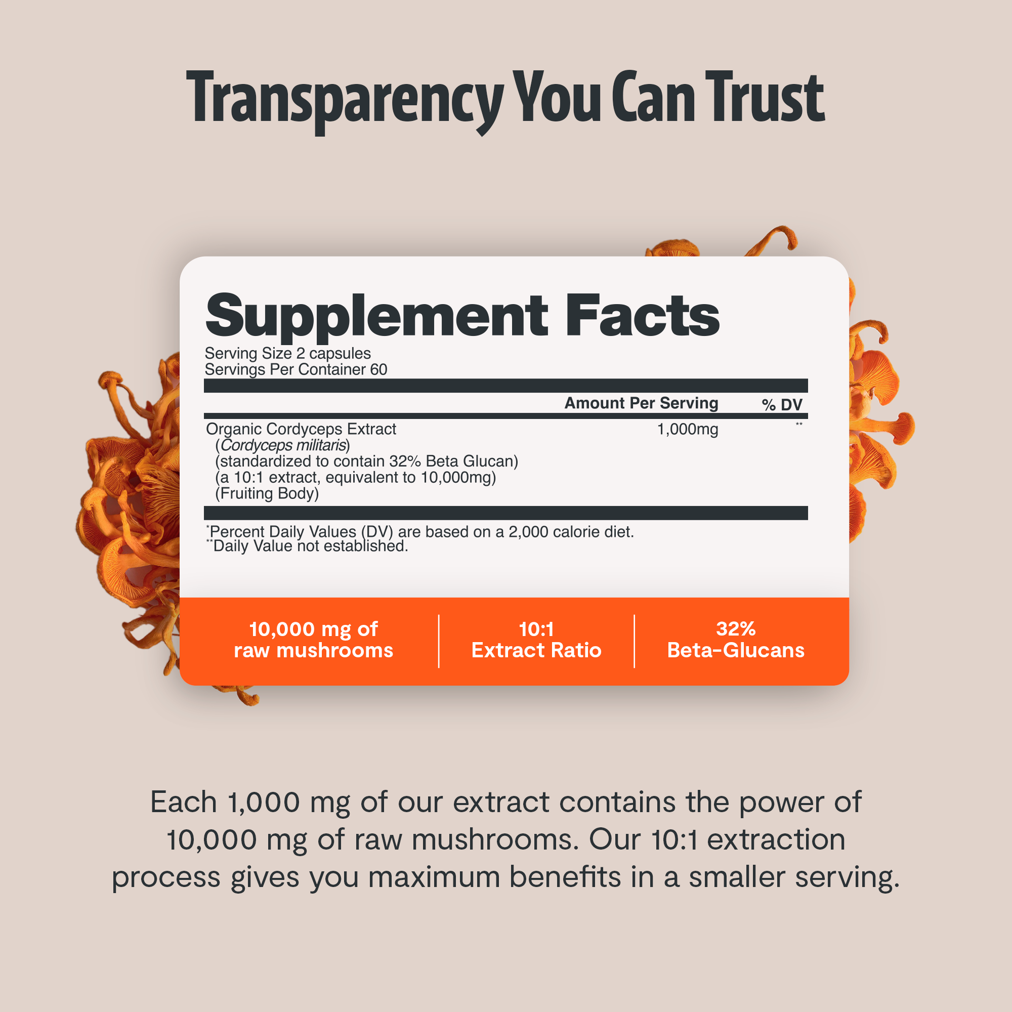 Cordyceps Mushroom Extract Capsules by FreshCap Mushrooms