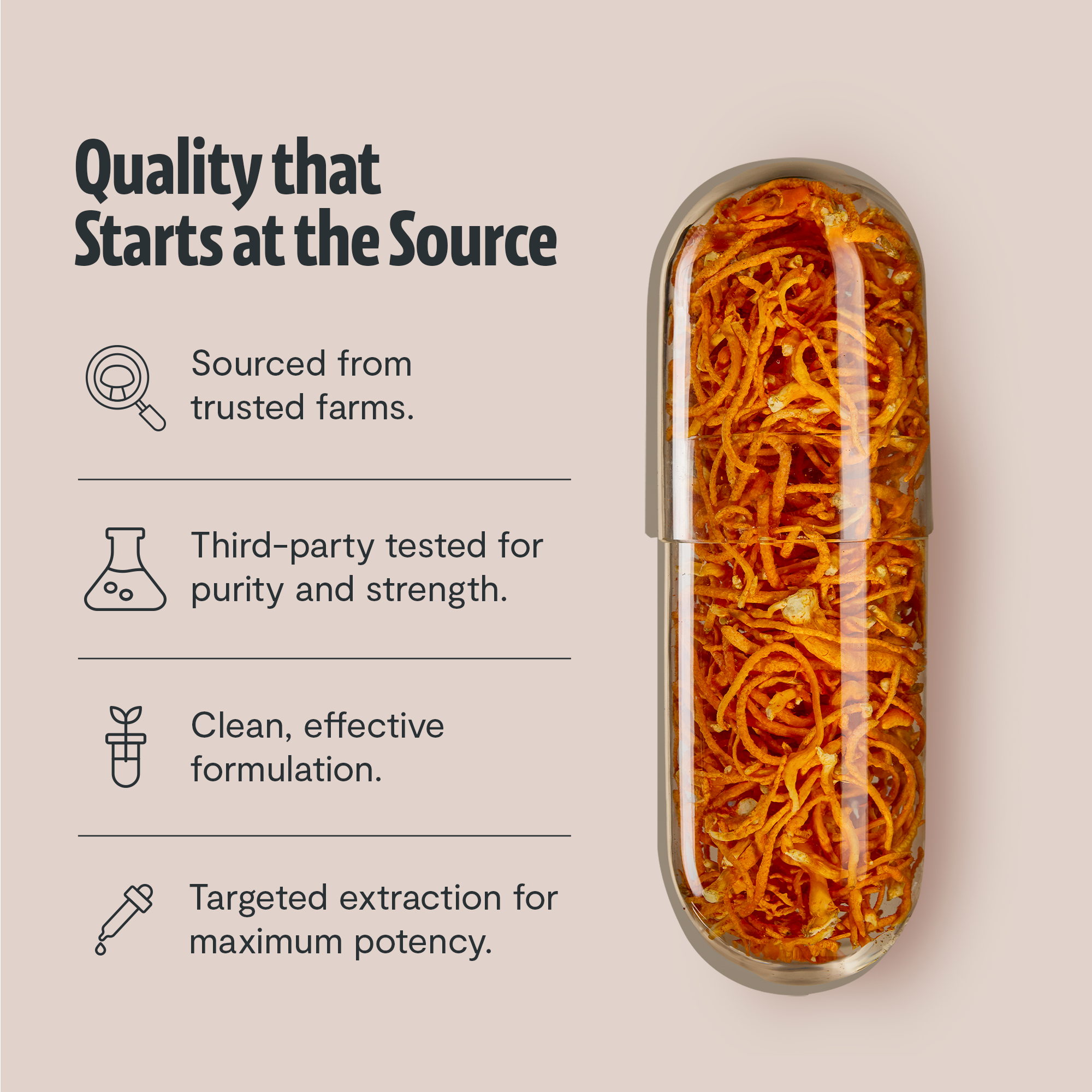 Cordyceps Mushroom Extract Capsules by FreshCap Mushrooms