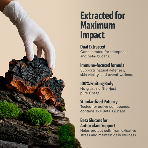 Chaga Mushroom Extract Capsules by FreshCap Mushrooms