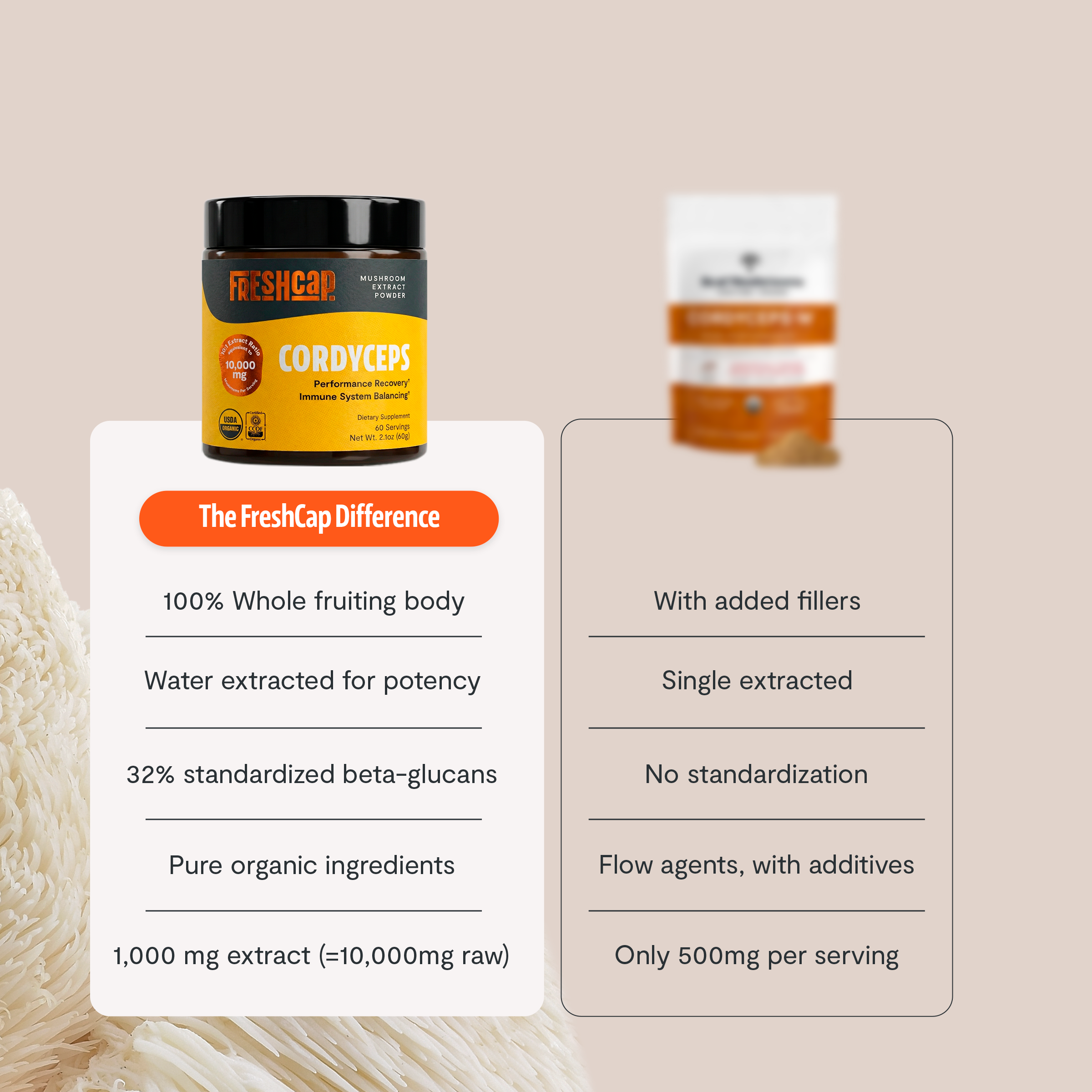 Cordyceps Mushroom Extract Powder by FreshCap Mushrooms