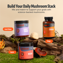 Chaga Mushroom Extract Capsules by FreshCap Mushrooms