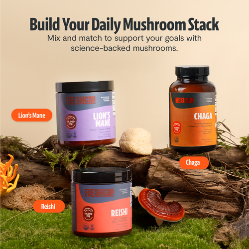 Chaga Mushroom Extract Capsules by FreshCap Mushrooms