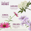 Kick-Ass Immune Activator by WishGarden Herbs