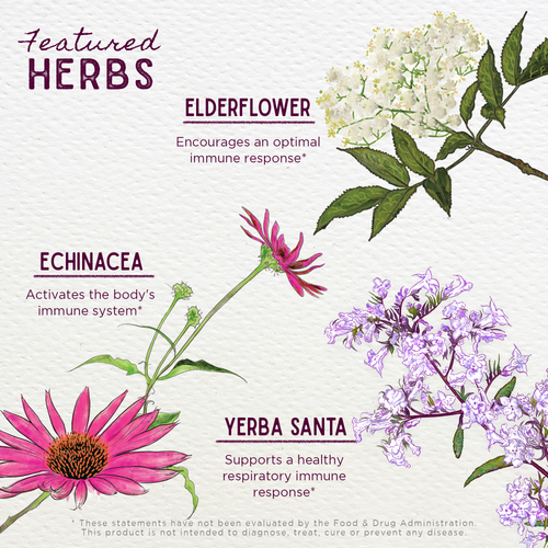 Kick-Ass Immune Activator by WishGarden Herbs