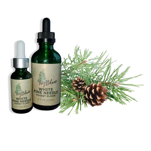 White Pine Needle Elixir by Try-Blue