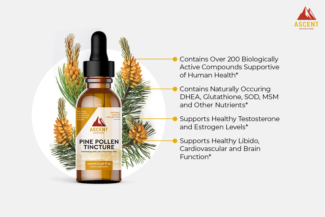 Wild-Harvested Pine Pollen Tincture, 335 mg by Ascent Nutrition