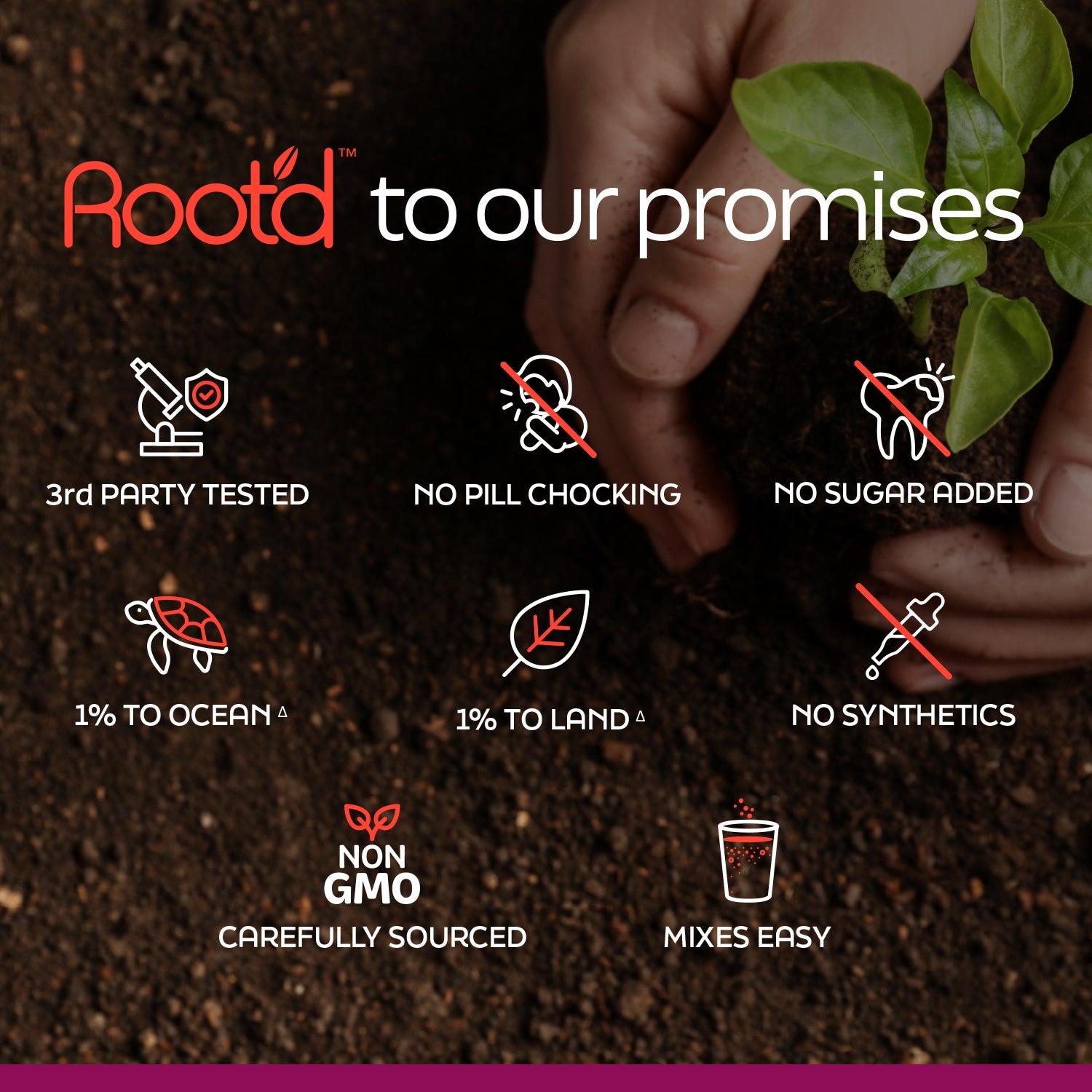 Couples’ Wellness Pack - The Hydrating Multivitamin - For Her & Him by Root'd