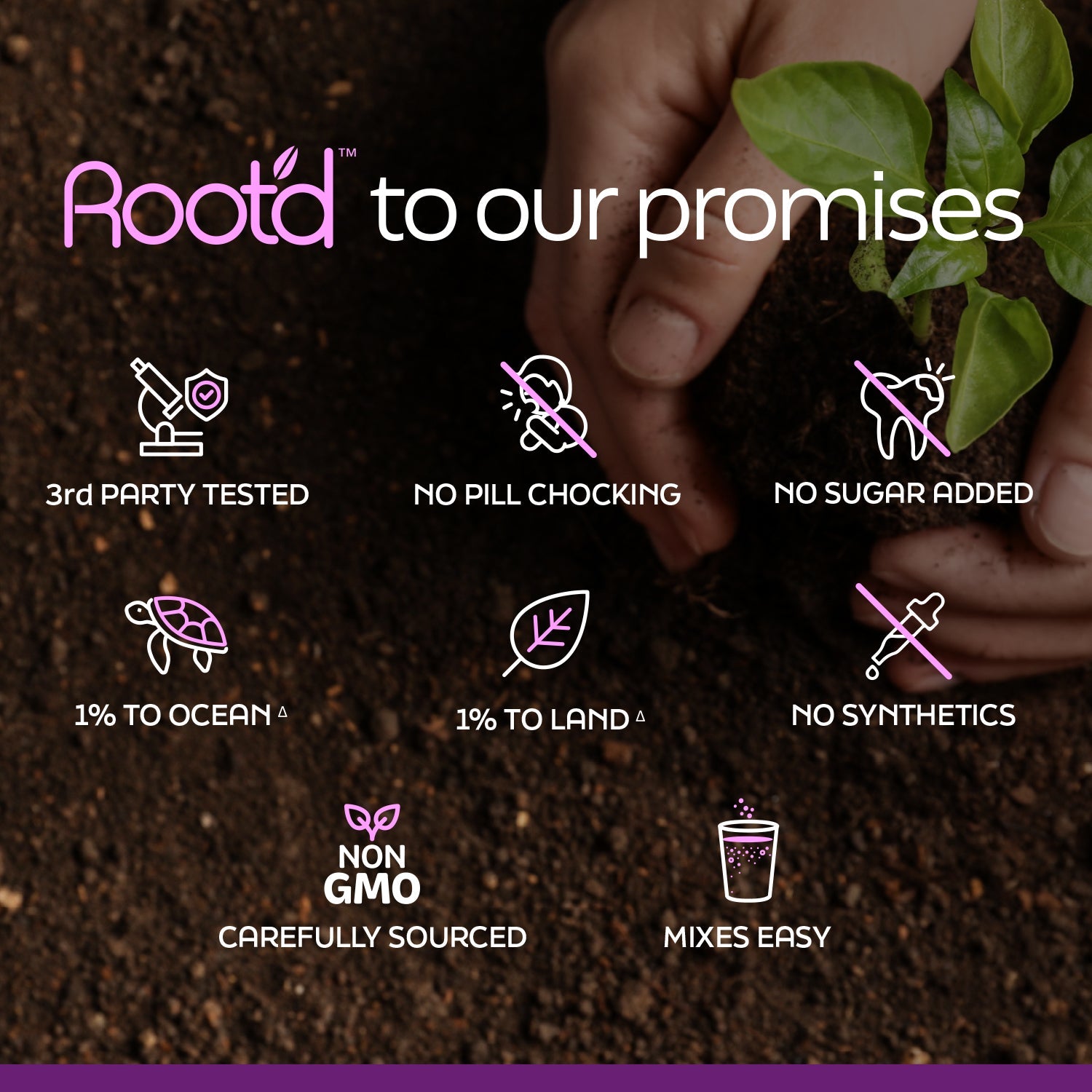 Growing Together Bundle - The Hydrating Multivitamin - For Future Mom & Dad by Root'd