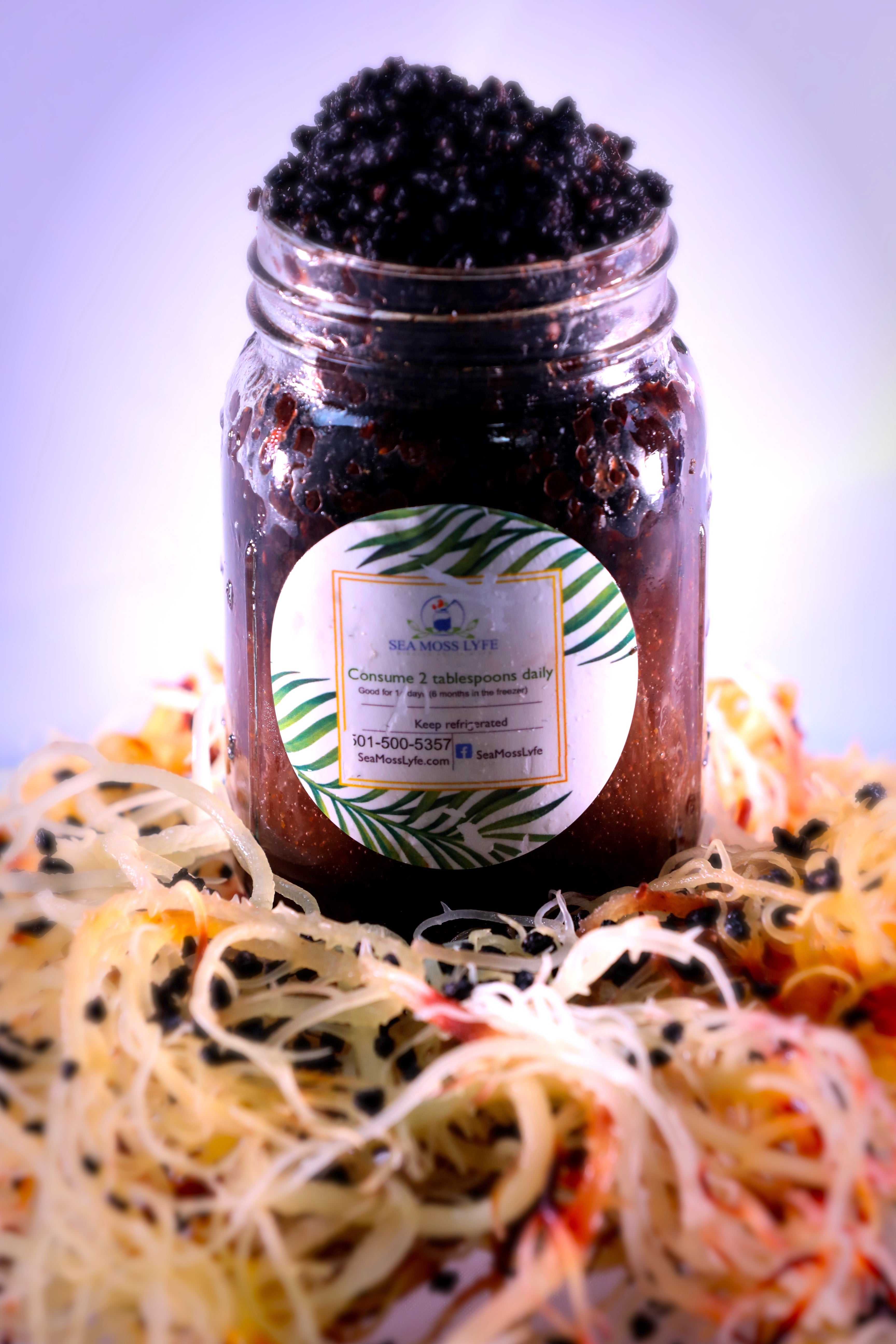 Elderberry Fusion Sea Moss Gel 16oz by Sea Moss Lyfe