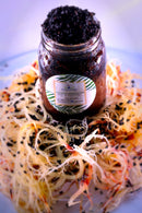 Elderberry Fusion Sea Moss Gel 16oz by Sea Moss Lyfe