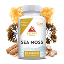 Organic Sea Moss, 60 Capsules, 500 mg by Ascent Nutrition