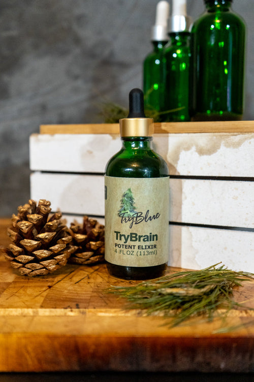 TryBrain Potent Elixir Mix by Try-Blue