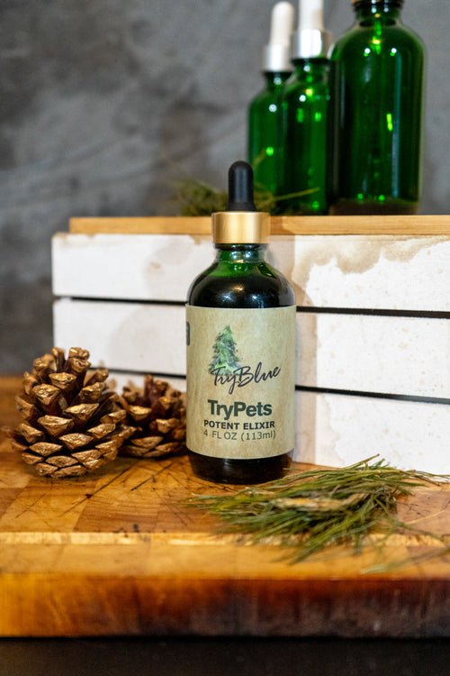 TryPets Potent Elixir Mix by Try-Blue