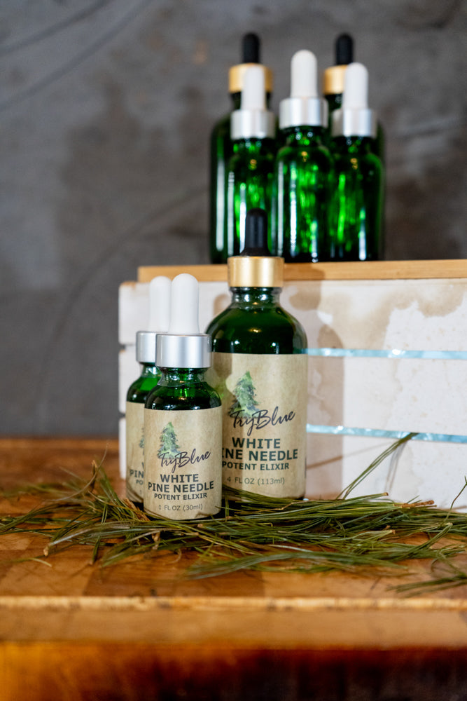 White Pine Needle Elixir by Try-Blue