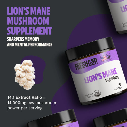 Lion's Mane Mushroom Extract Powder by FreshCap Mushrooms