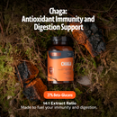 Chaga Mushroom Extract Capsules by FreshCap Mushrooms